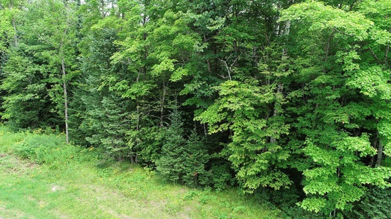 Lot 1 Weber Road Mercer, WI 54547 - Photo 2 of 22 Gallery Image 2