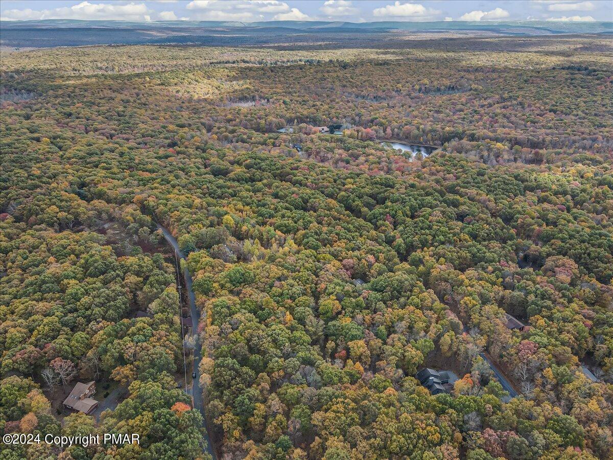 3567 High Crest Road Canadensis, PA 18325 - Photo 56 of 62 a view of a dry yard with wooden floor