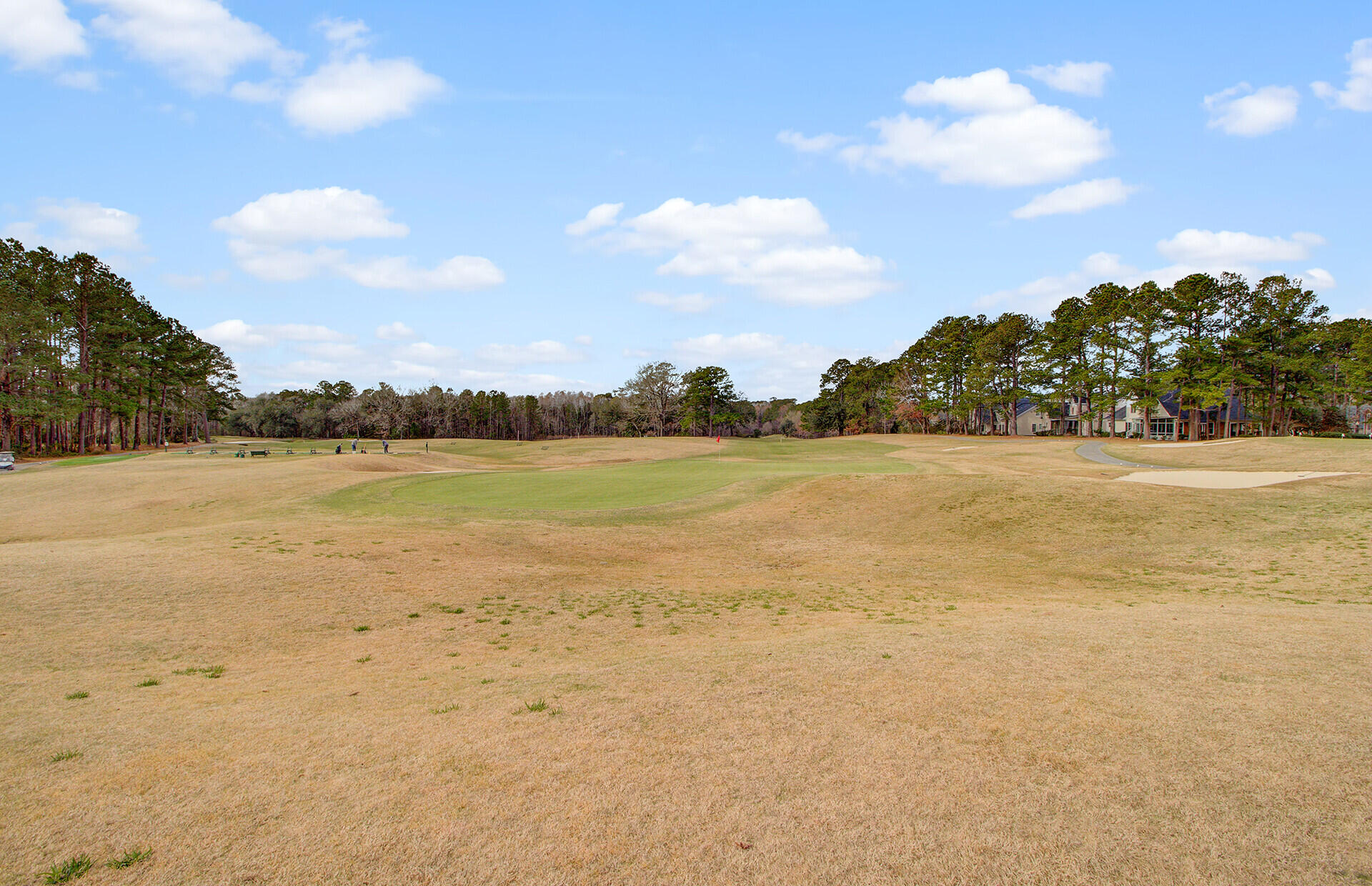 102 Old Course Road Summerville, SC 29485 - Photo 64 of 85 Gallery Image 64
