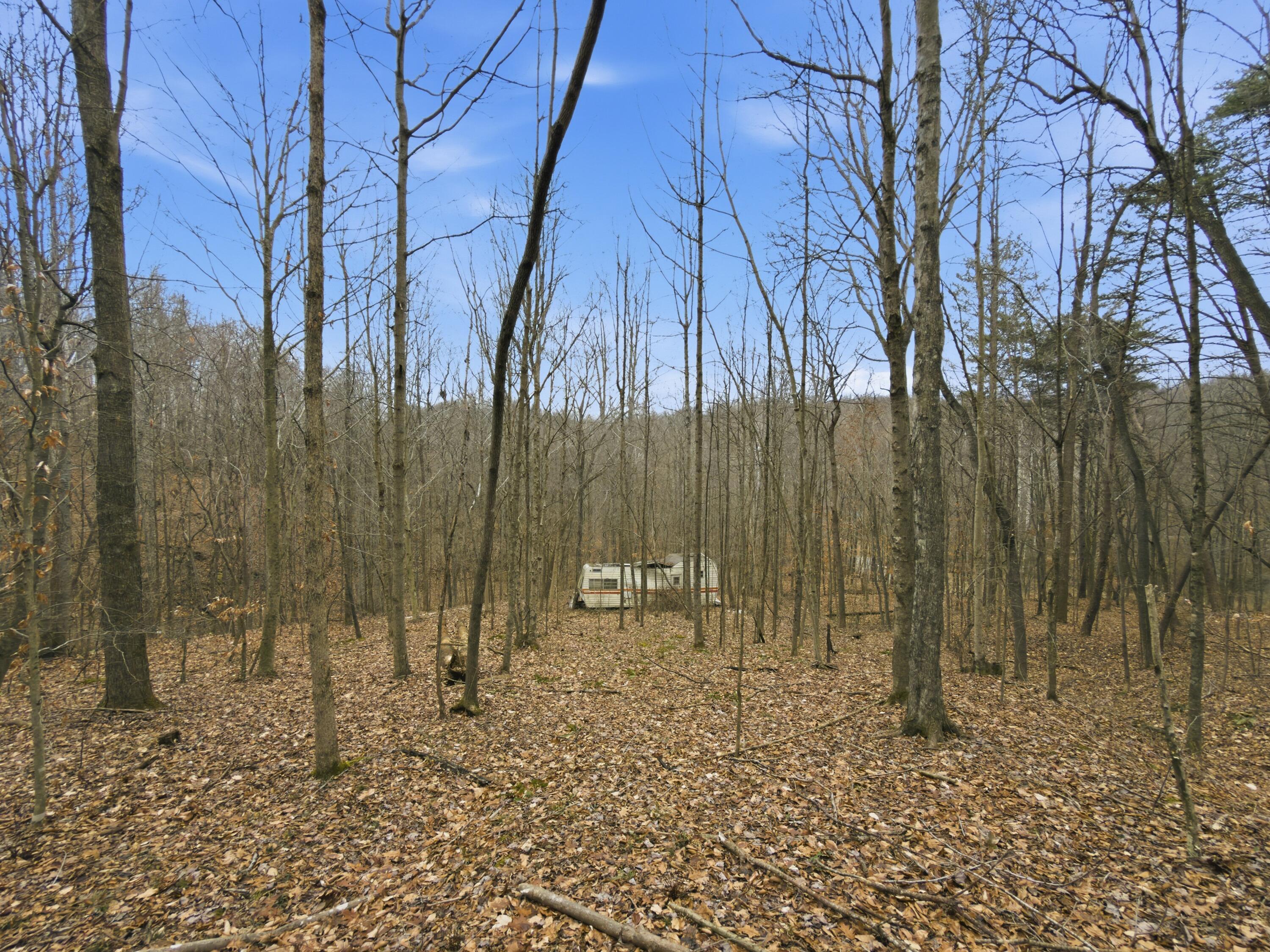0 East Side Geer Mill Road Vinton, OH 45686 - Photo 25 of 27 IMG_4813