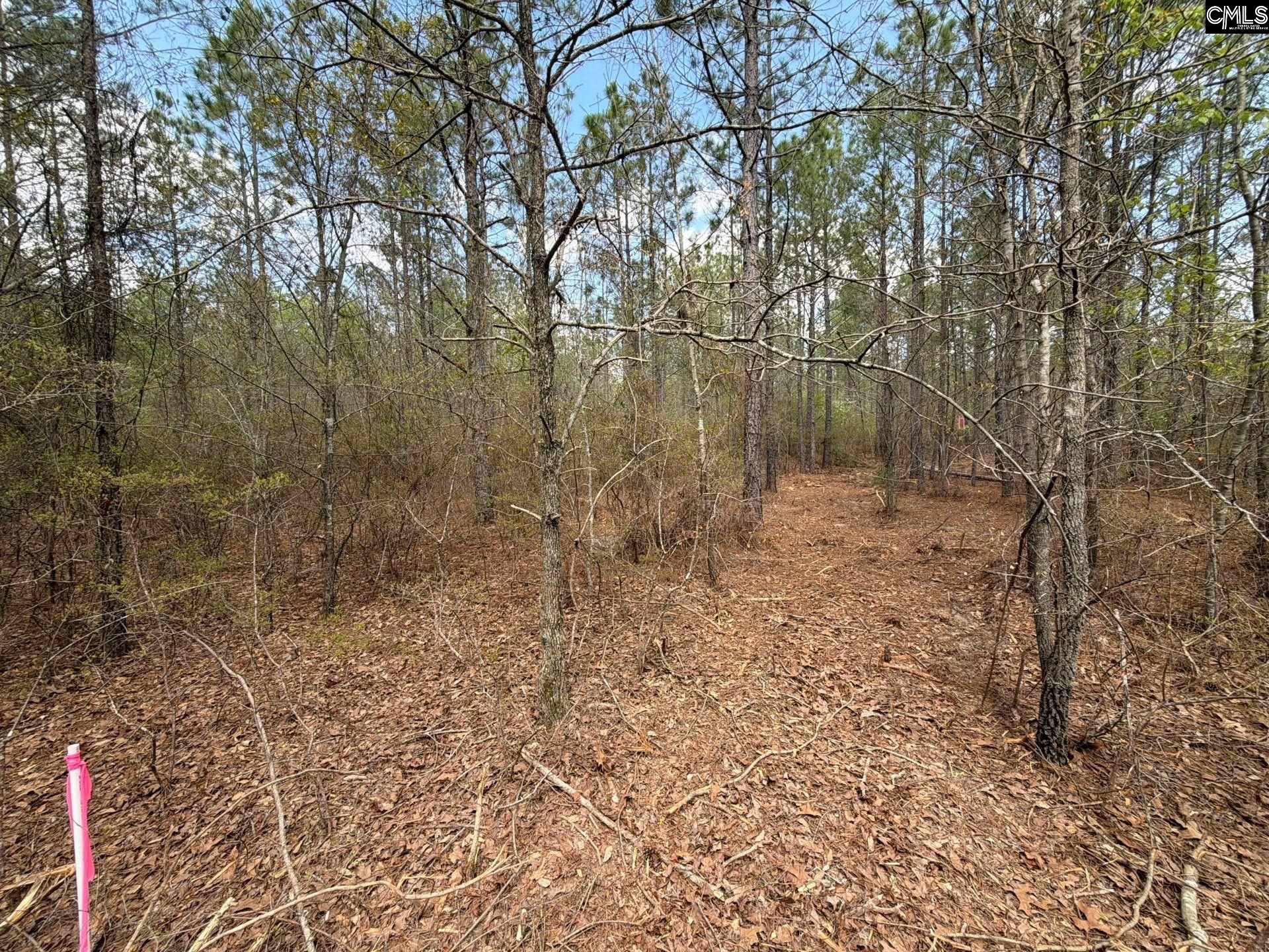 2 Mt Calvary Rd Ridge Spring, Unit CA 2 Ridge Spring, SC 29129 - Photo 29 of 29