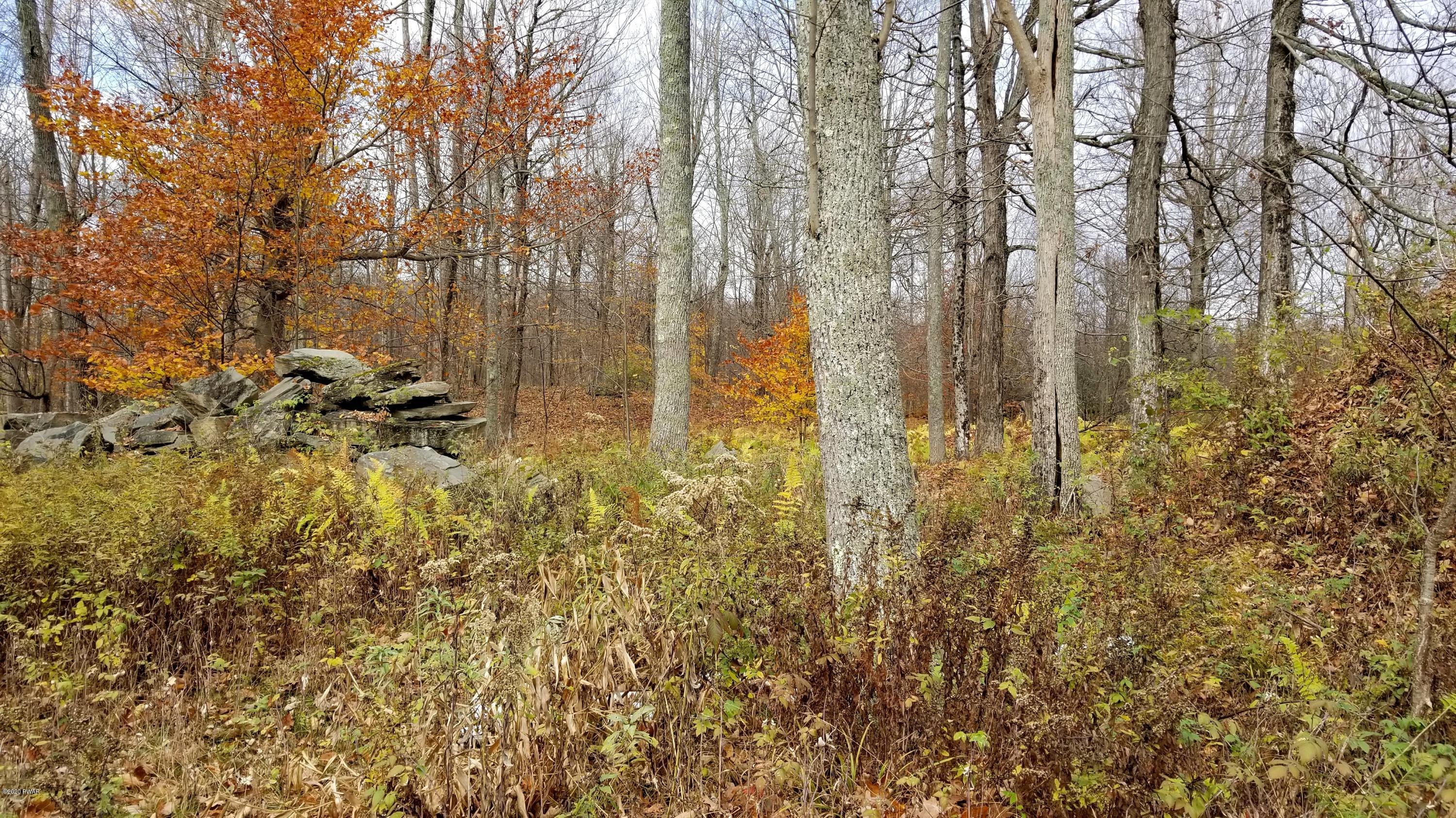 Lot 63 Old Woods Road Equinunk, PA 18417 - Photo 13 of 63