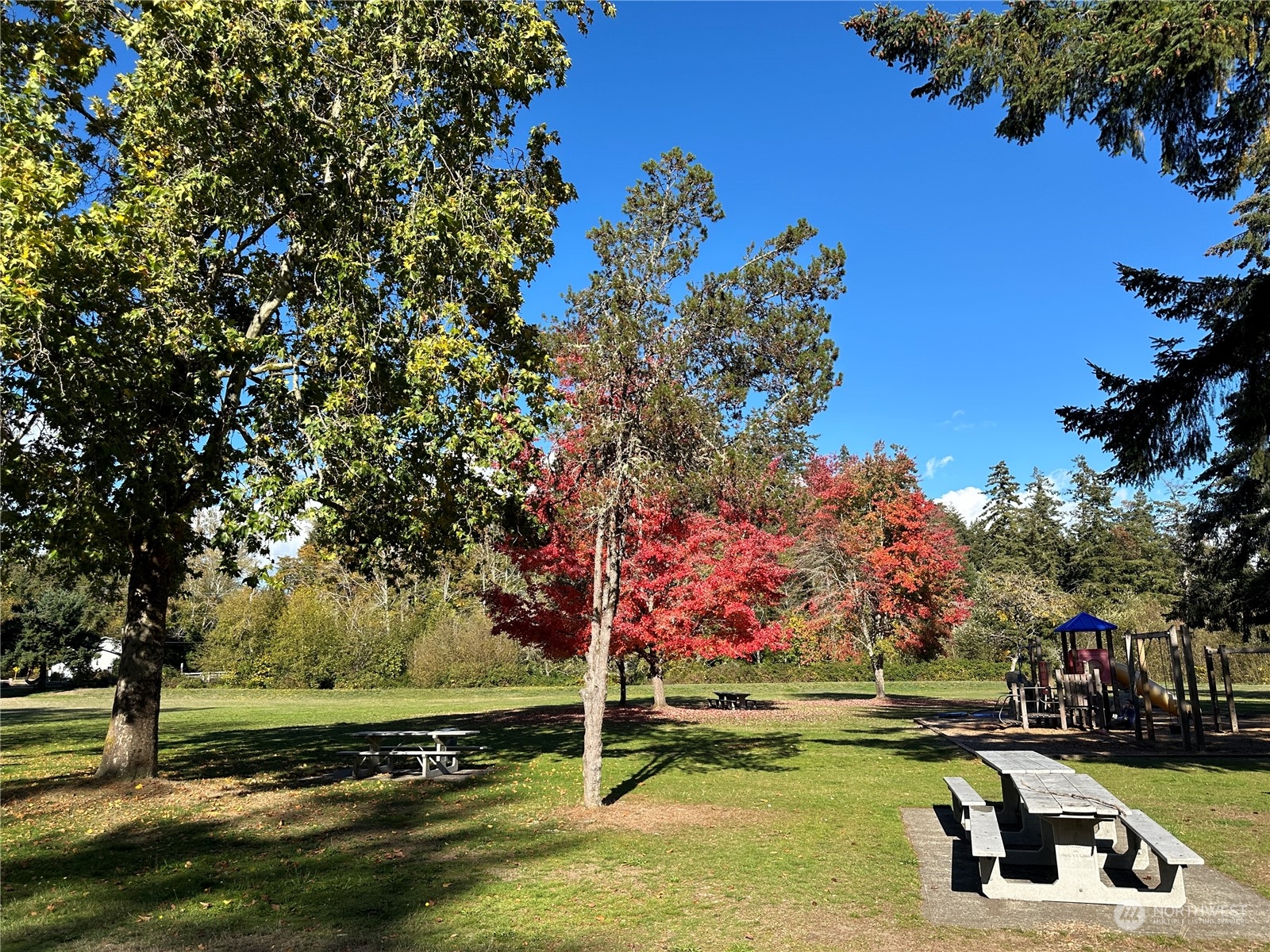 7140 Northeast North Shore Road Belfair, WA 98528 - Photo 25 of 31 a view of a park with large trees