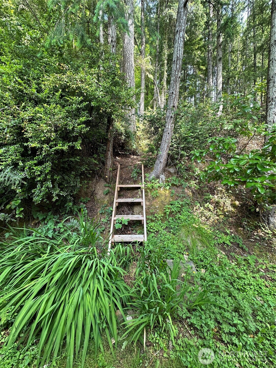 7140 Northeast North Shore Road Belfair, WA 98528 - Photo 27 of 31 a backyard of a house with lots of green space