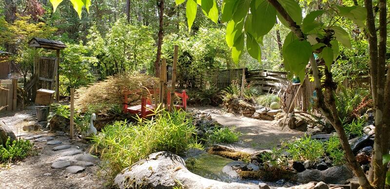 800 Covered Bridge Road Rogue River, OR 97537 - Photo 13 of 25 a view of a garden with plants