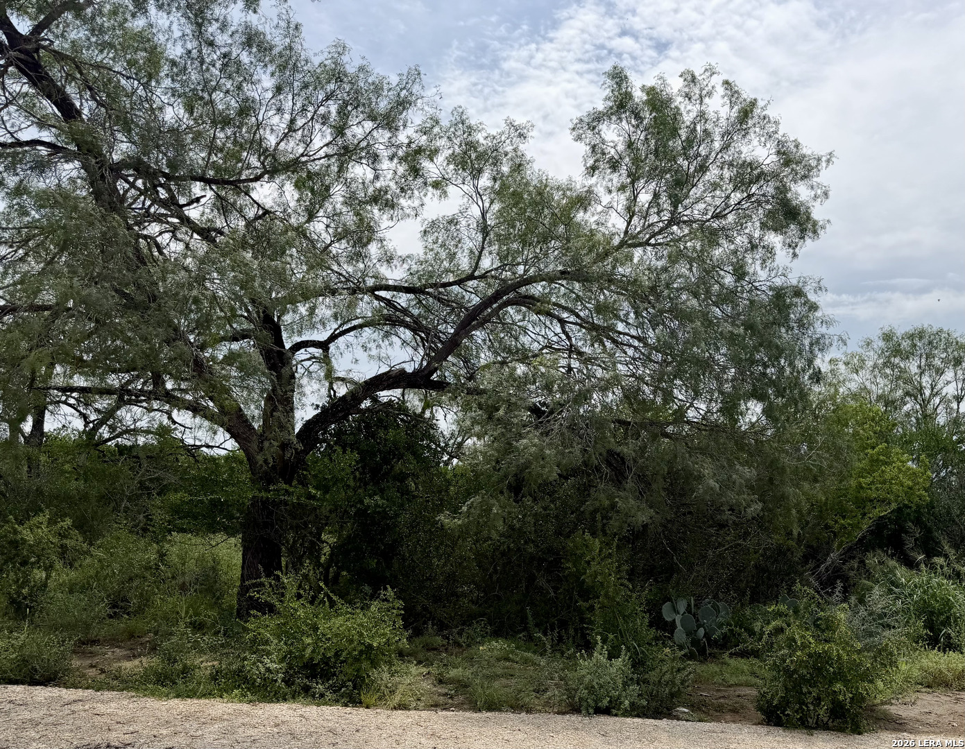 2018 Strawberry City Road Poteet, TX 78065 - Photo 5 of 10