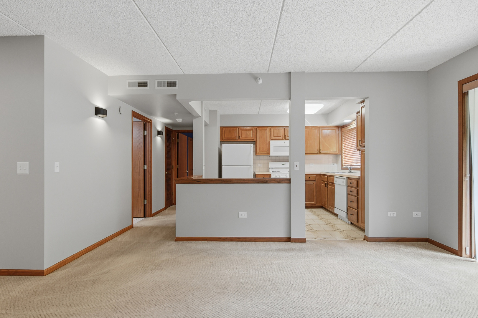 10 South Wille Street, Unit 209 Mount Prospect, IL 60056 - Photo 15 of 28