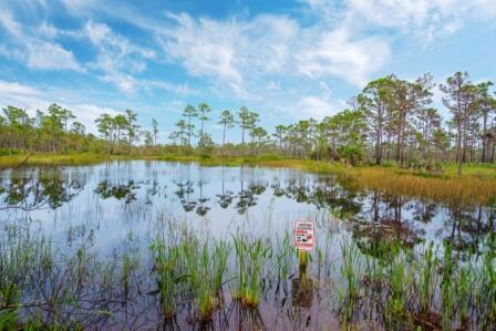 18721 Southeast River Ridge Road Jupiter, FL 33469 - Photo 72 of 74 Jonathan dickinson