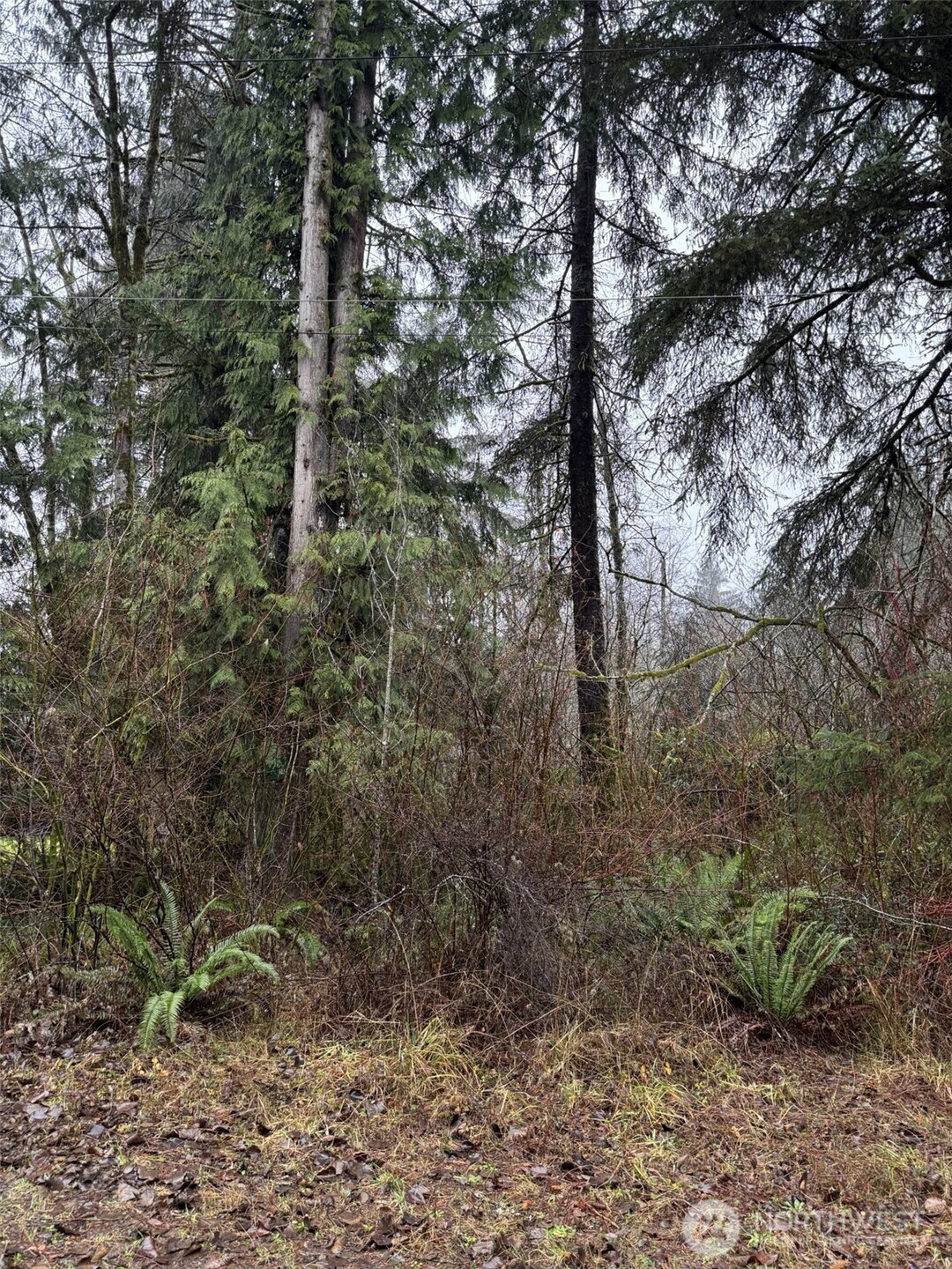 0 No Address Elma, WA 98541 - Photo 1 of 1 Gallery Image 1