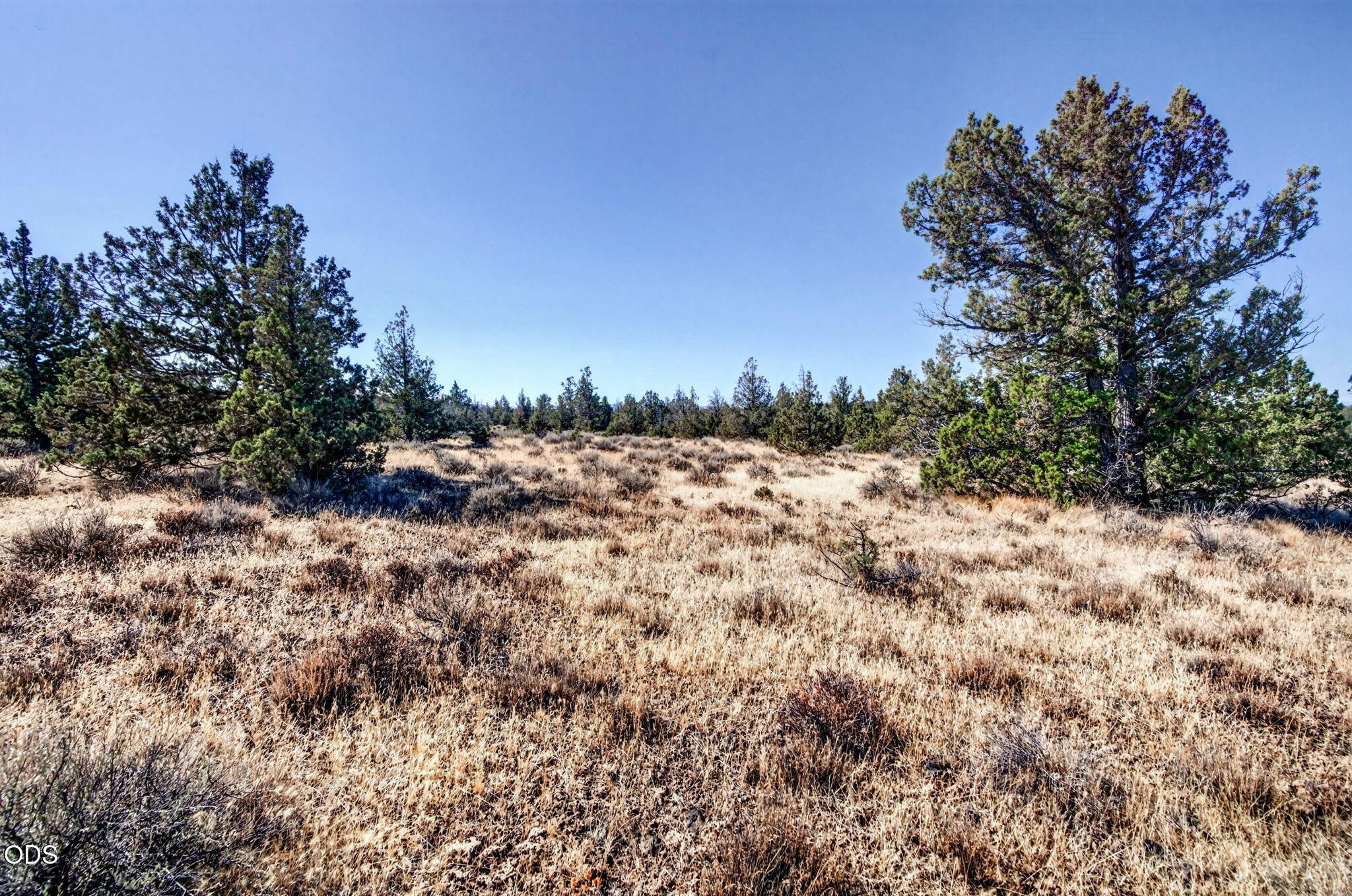 Southeast Laredo Road Prineville, OR 97754 - Photo 11 of 23 Gallery Image 11