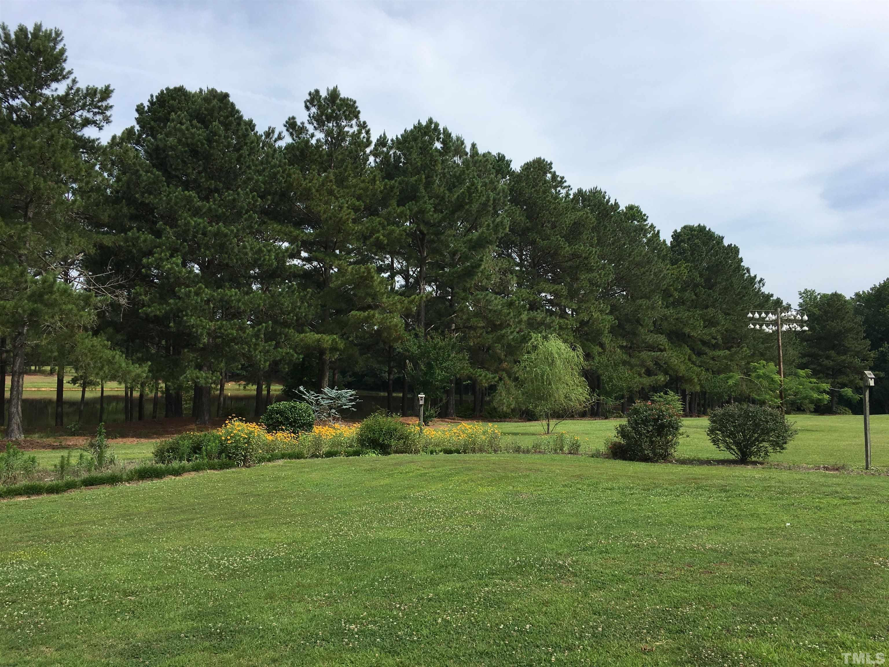 9824 Sauls Road Raleigh, NC 27603 - Photo 15 of 16 a view of a park