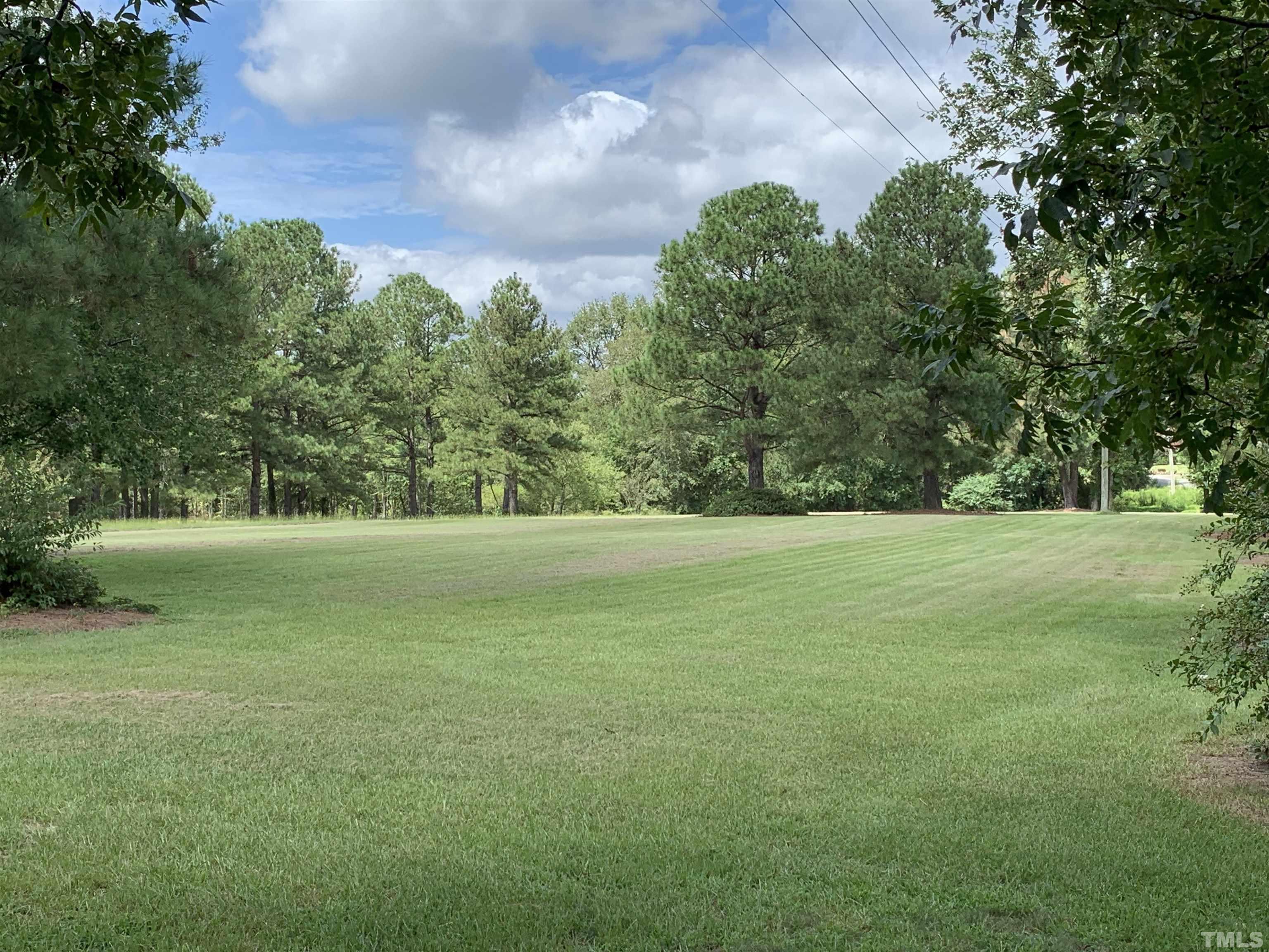 9824 Sauls Road Raleigh, NC 27603 - Photo 6 of 16 a view of yard with green space