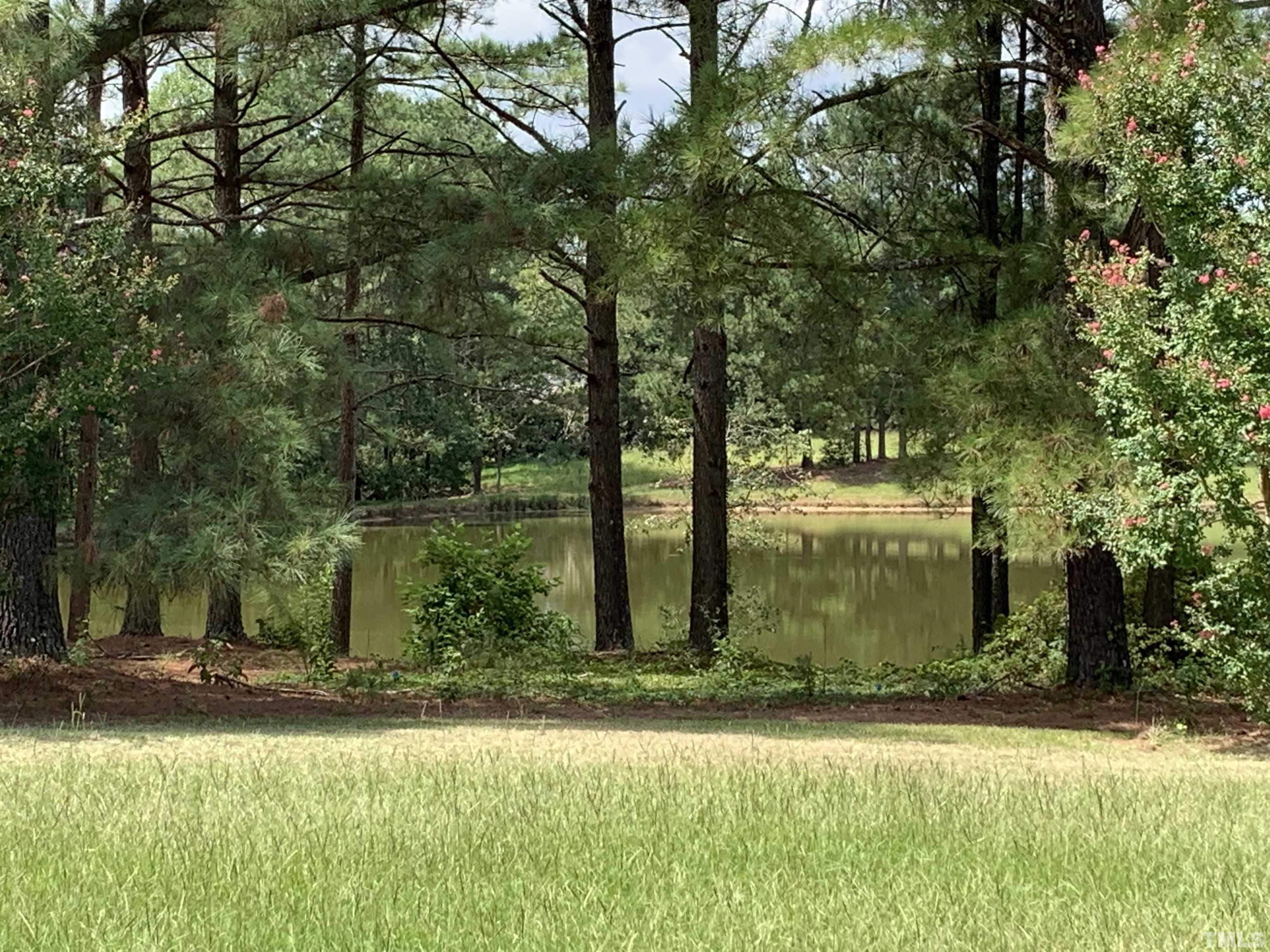 9824 Sauls Road Raleigh, NC 27603 - Photo 9 of 16 a view of a yard