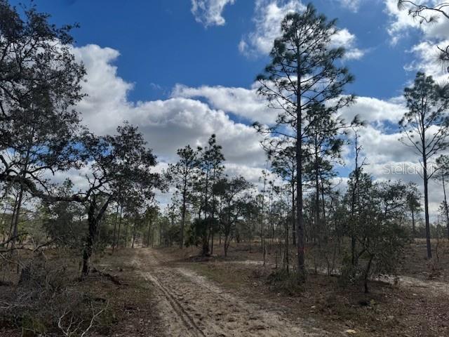 121 Southeast State Road Morriston, FL 32668 - Photo 13 of 14