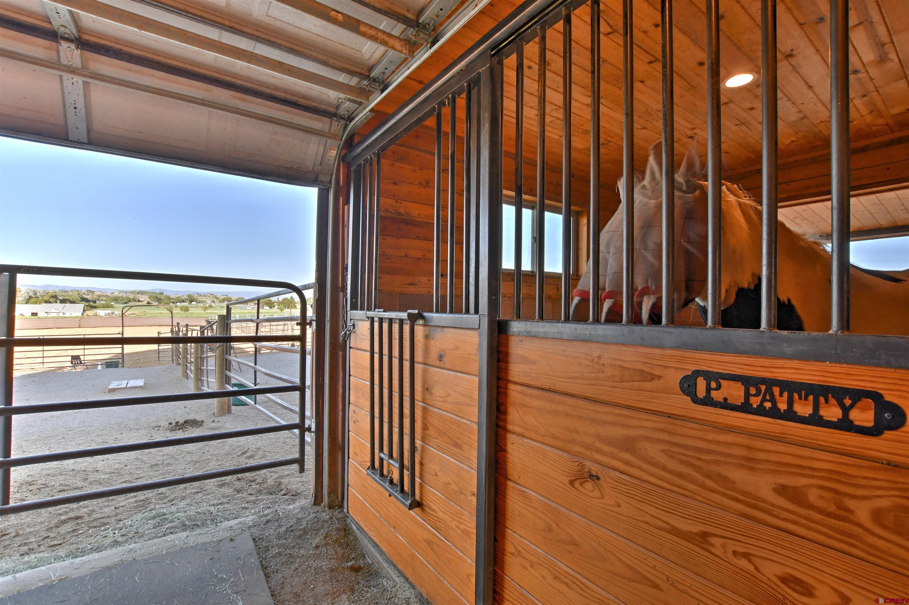 57507 Jefferson Road Montrose, CO 81403 - Photo 38 of 45
