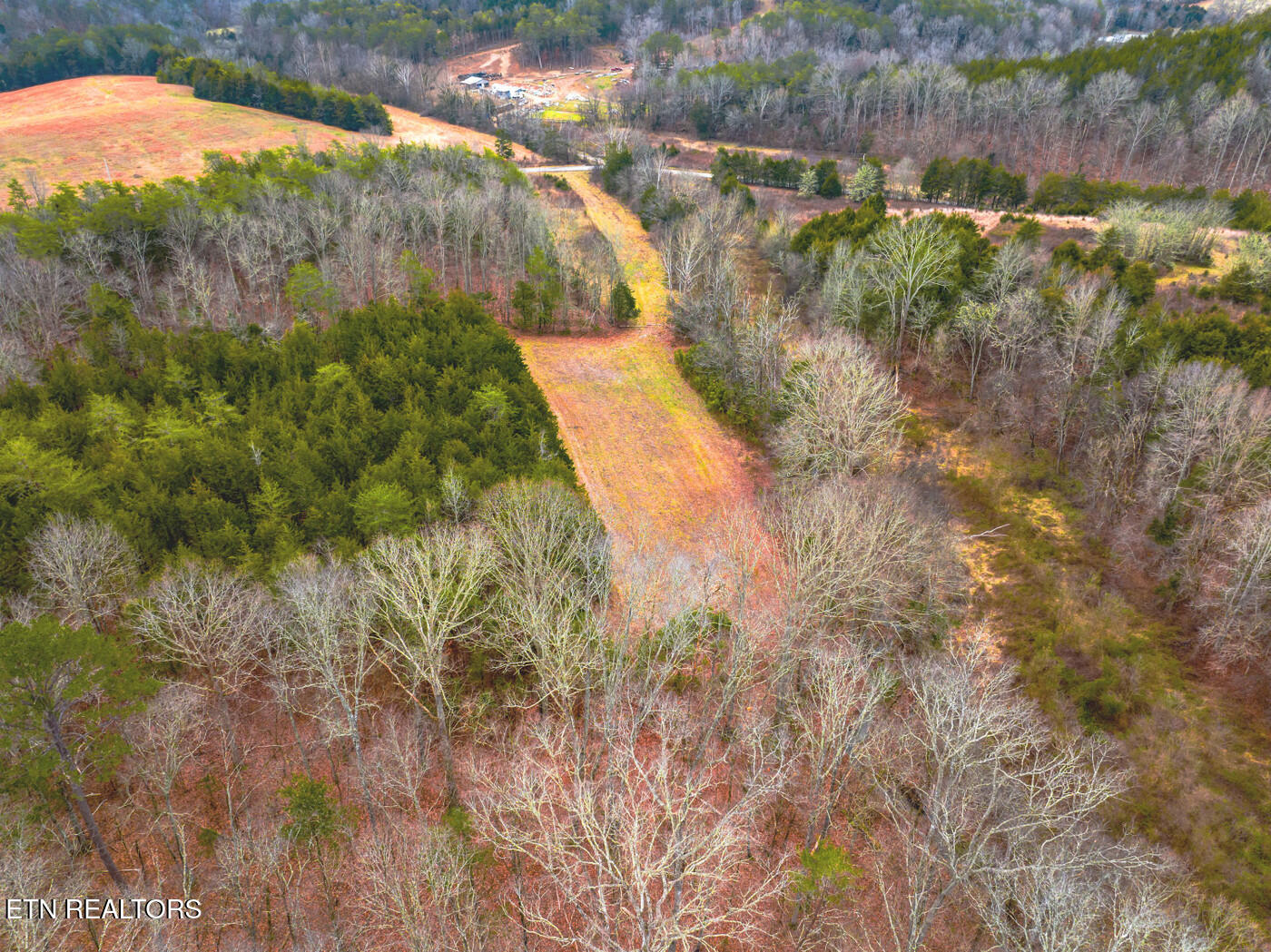 Lot 8 Lonesome Pine Road Bybee, TN 37713 - Photo 6 of 8 track 8 2