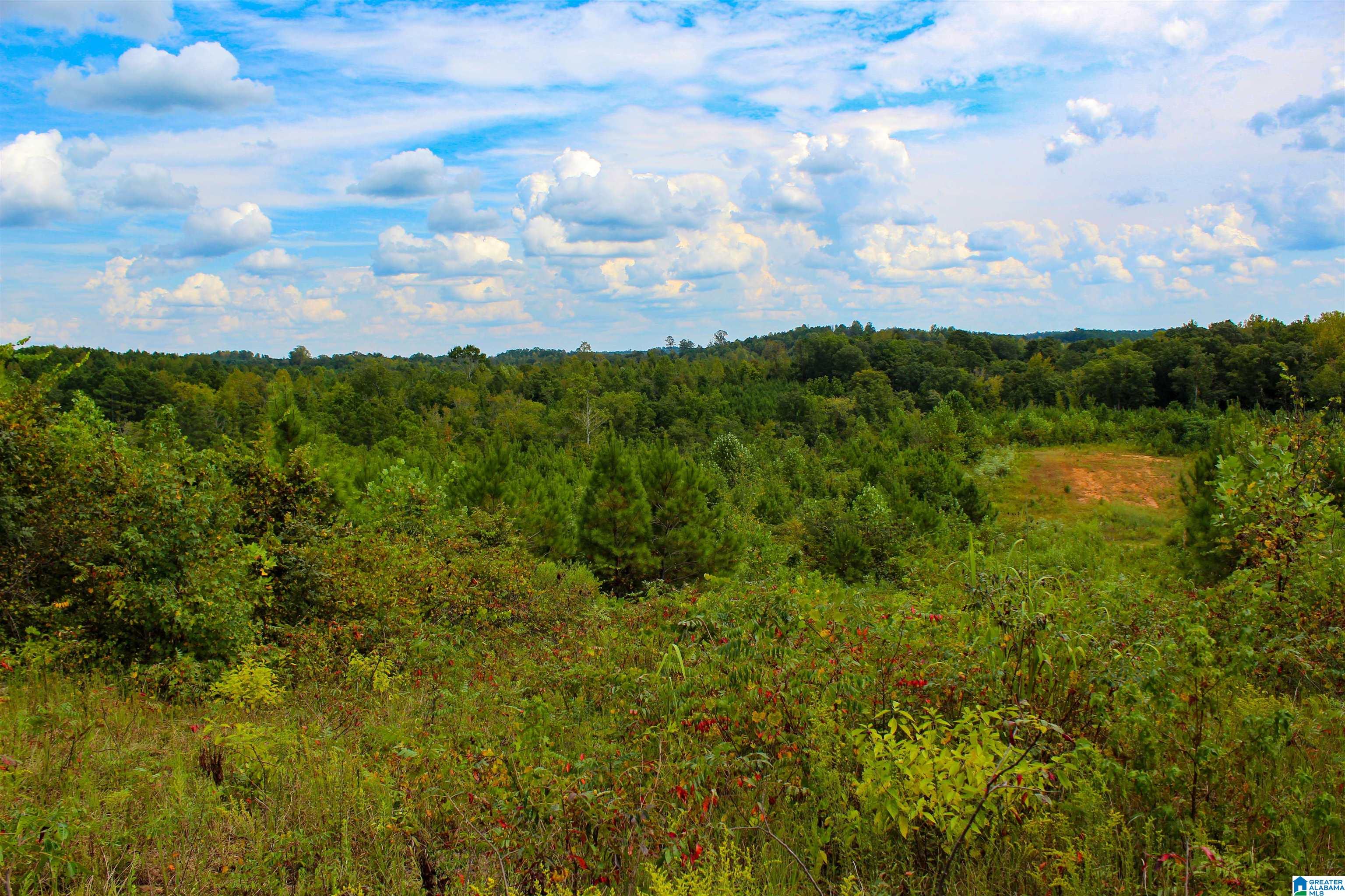 1 Highway 13, Unit 1 Berry, AL 35546 - Photo 4 of 52