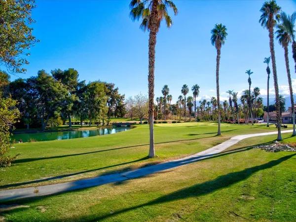a view of a park with palm trees