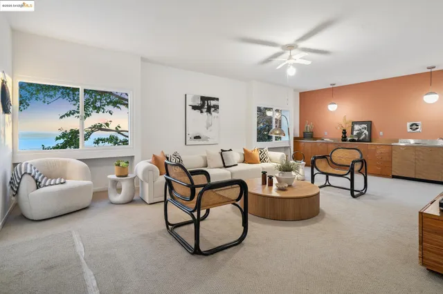 a view of a yard with plants and large trees