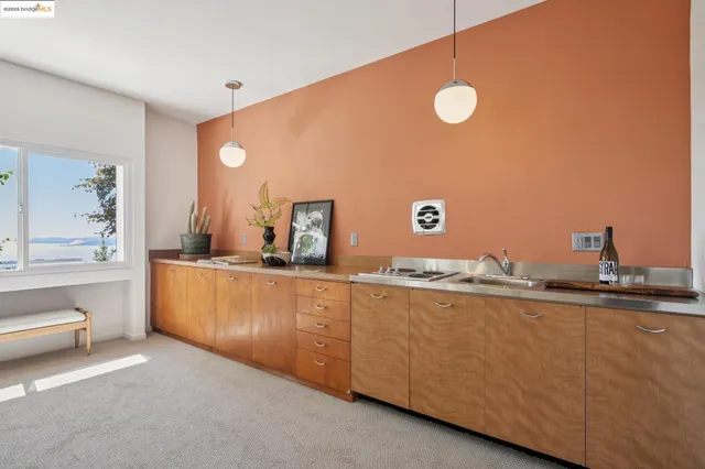 a view of a garden with plants and large trees