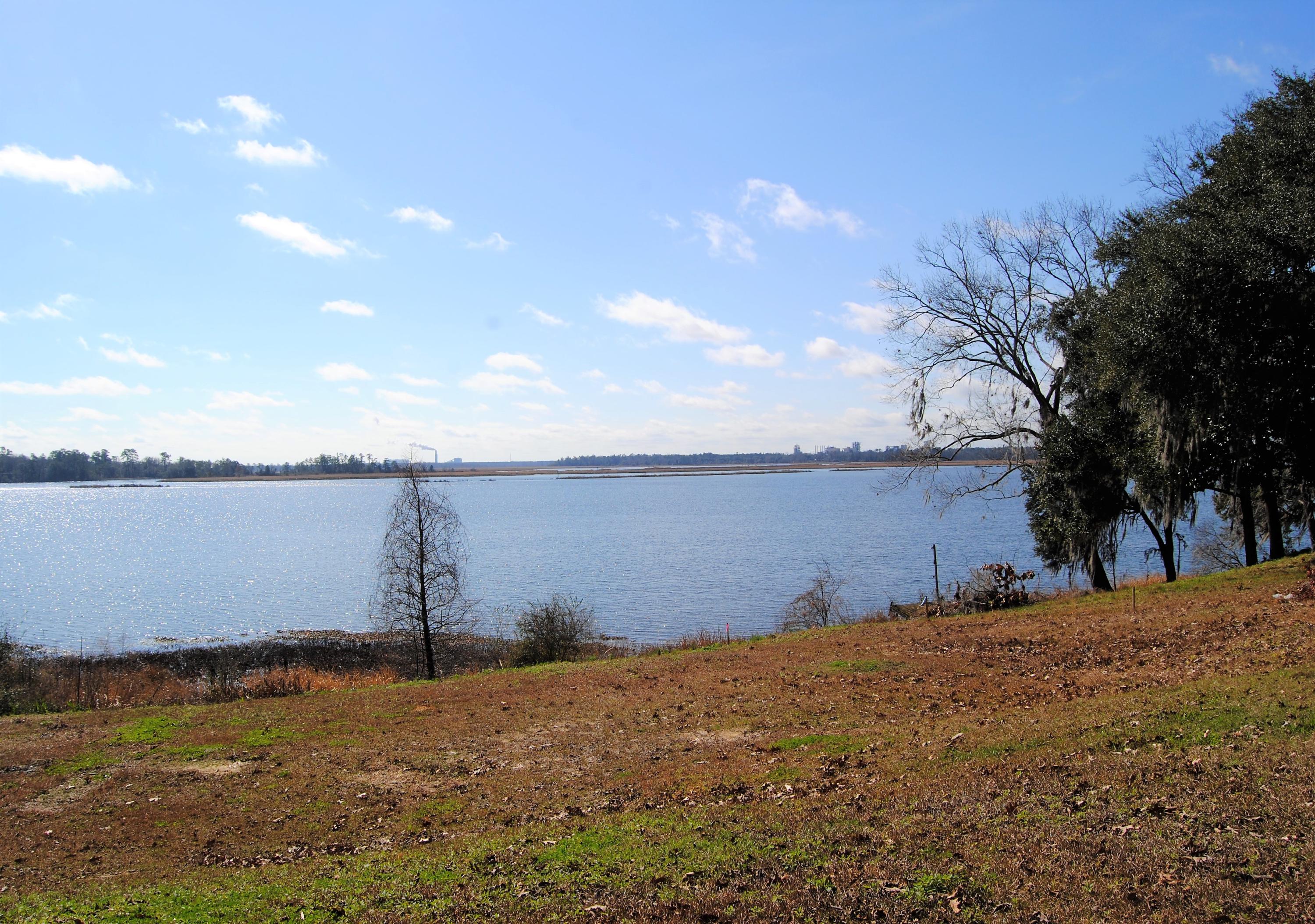246 Rice Hope Drive Moncks Corner, SC 29461 - Photo 16 of 17 MLS14