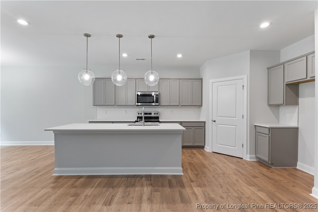 3117 Wolfpack Lane Eastover, NC 28312 - Photo 21 of 45