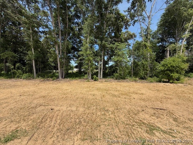 3117 Wolfpack Lane Eastover, NC 28312 - Photo 45 of 45 a backyard of a house with large trees