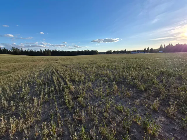 $260,000 | Nkn Allen Road, Elk, WA 99009