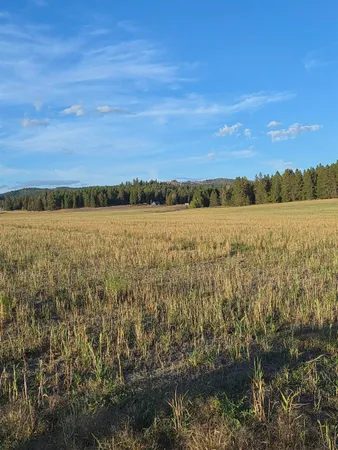 $260,000 | Nkn Allen Road, Elk, WA 99009