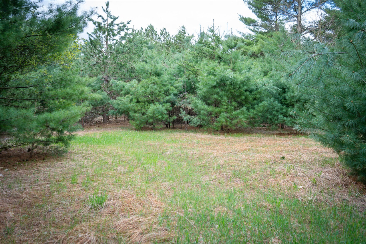 V/l Hudson Road South Boardman, MI 49680 - Photo 21 of 34