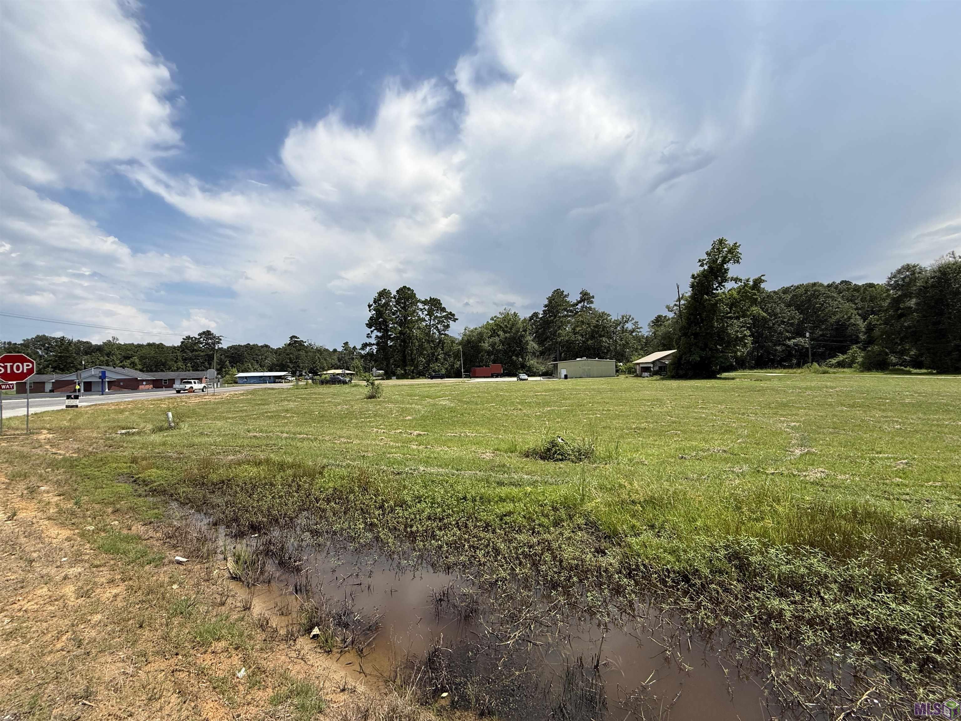 Tbd Tbd Springfield Road Walker, LA 70785 - Photo 6 of 7