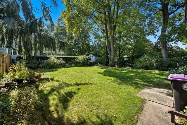 a view of a park with large trees