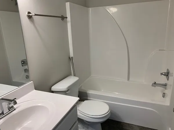 a white toilet sitting next to a bath tub