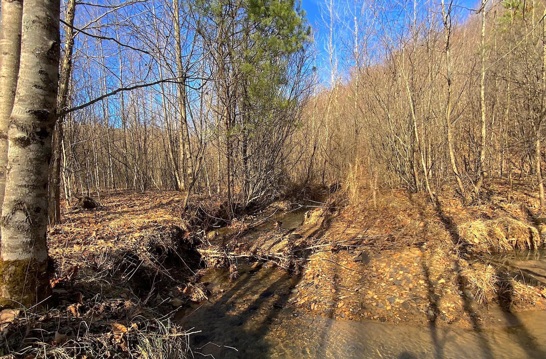 0 Kelly Road Ray, OH 45672 - Photo 26 of 46 Vinton County Kelly Rd 25