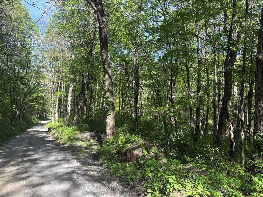Lot 3-4 Killarney Road Mill Run, PA 15464 - Photo 14 of 29 Gallery Image 14