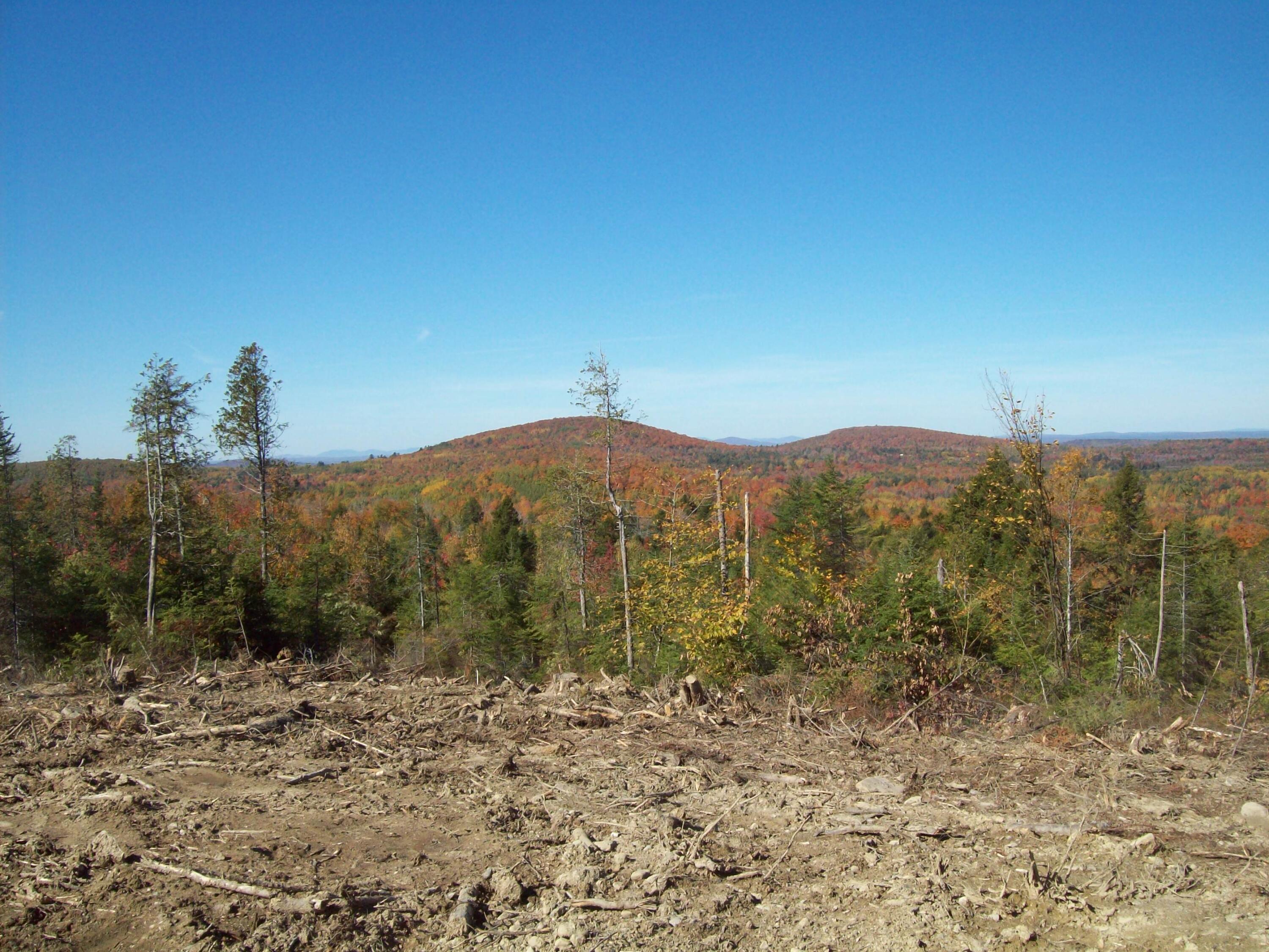 Tbd Arab Road Lee, ME 04455 - Photo 2 of 20 100_3154