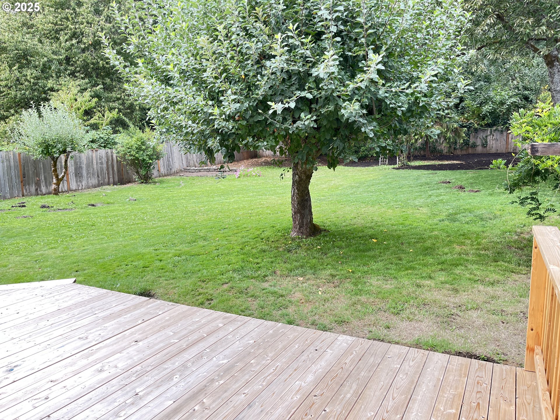 1730 Augusta Street Eugene, OR 97403 - Photo 2 of 11 a view of a backyard with a garden