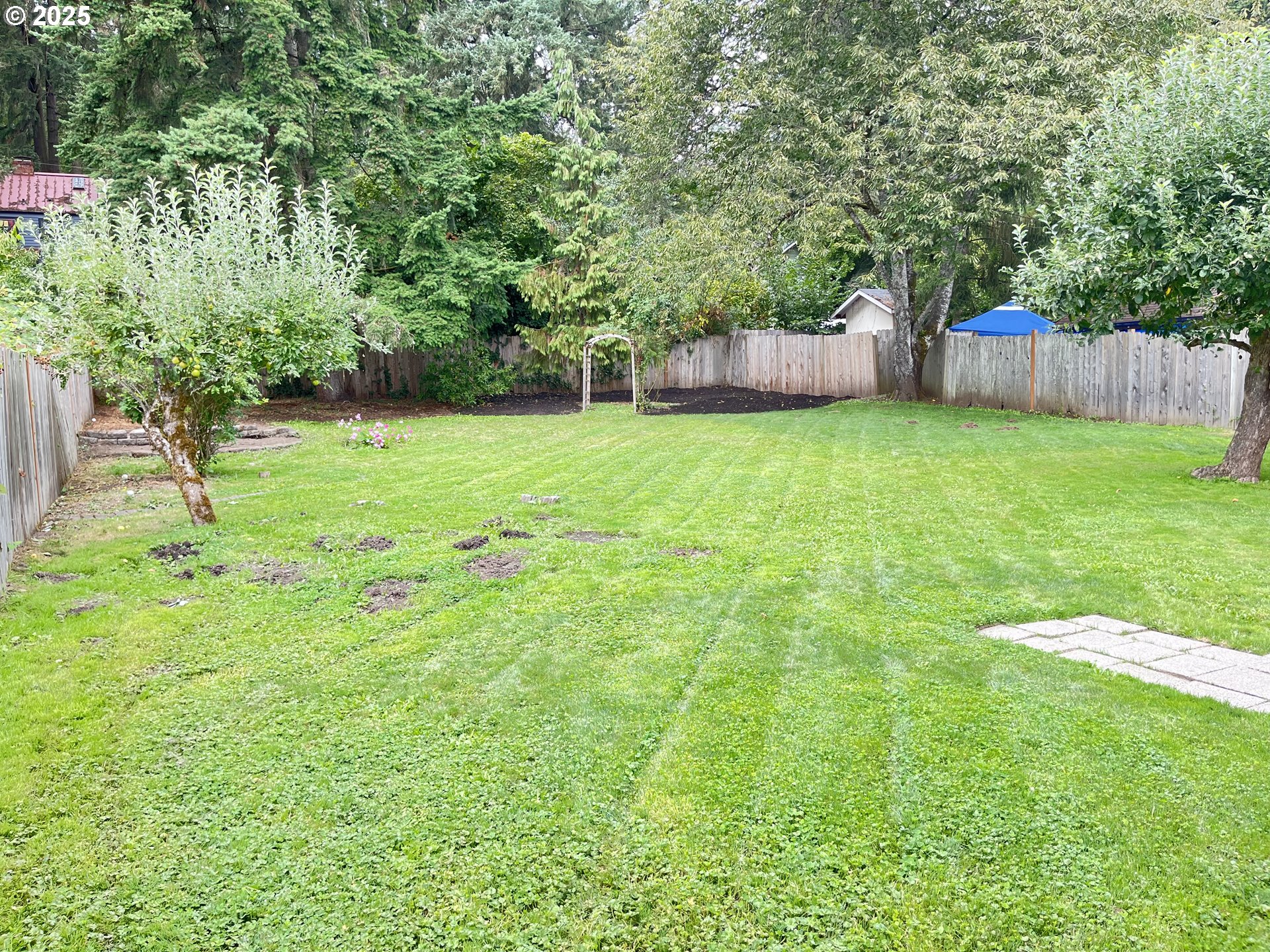 1730 Augusta Street Eugene, OR 97403 - Photo 3 of 11 a view of a backyard with a trees