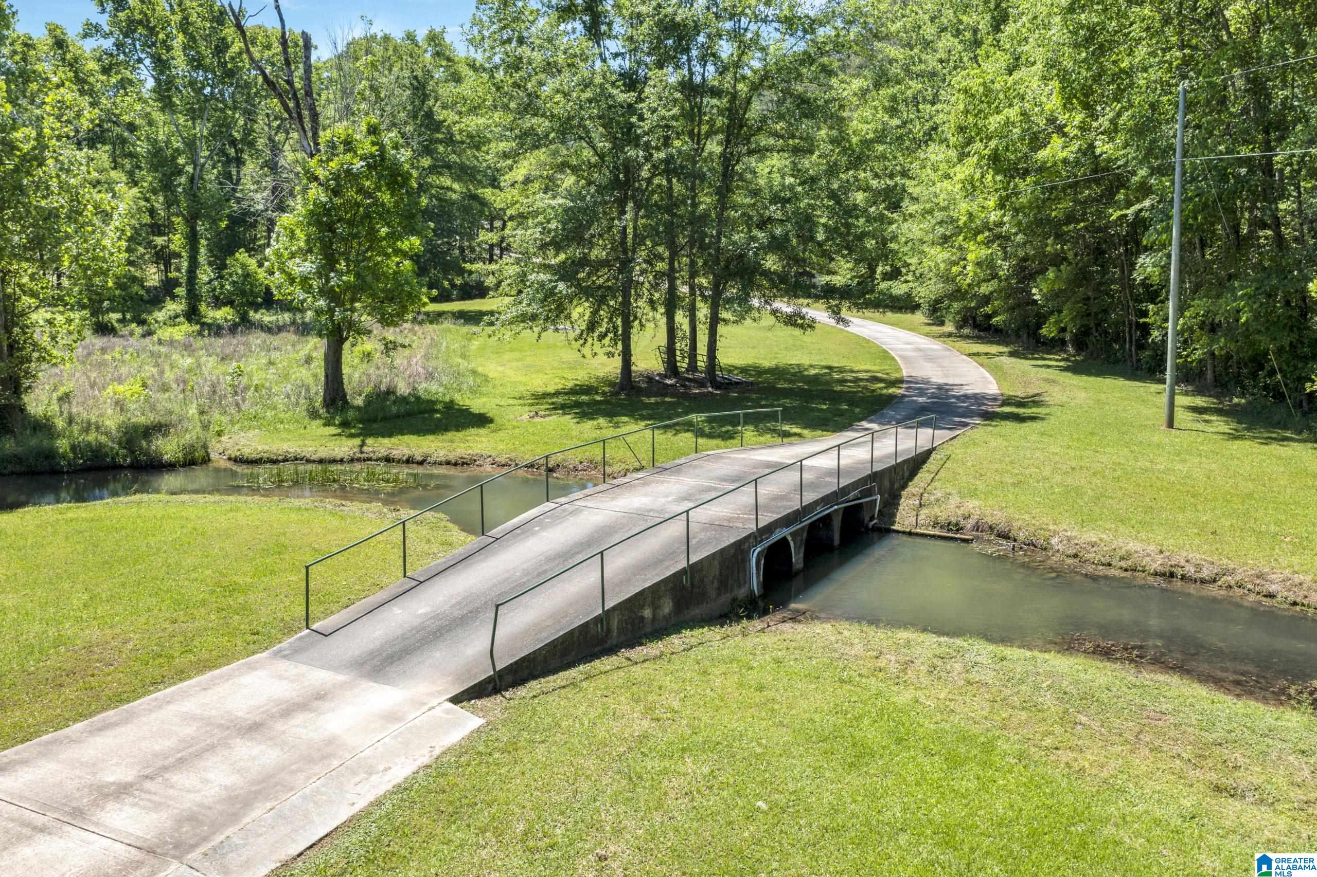 466 Seven Springs Road Wellington, AL 36279 - Photo 57 of 62