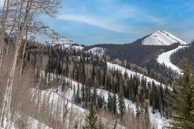 a view of city and mountain