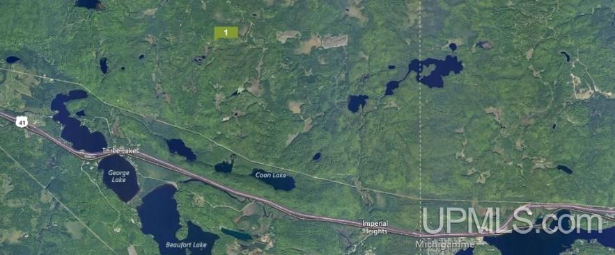 Tbd Off Craig Lake Road Michigamme, MI 49861 - Photo 20 of 23