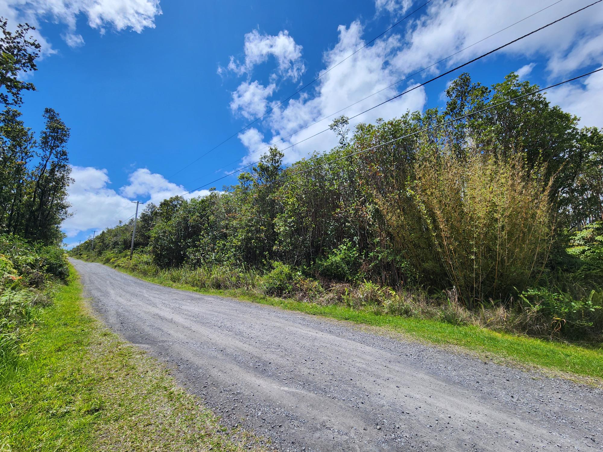 46 Apuakehau Road Mountain View, HI 96771 - Photo 2 of 6 a view of a yard with plants and large trees
