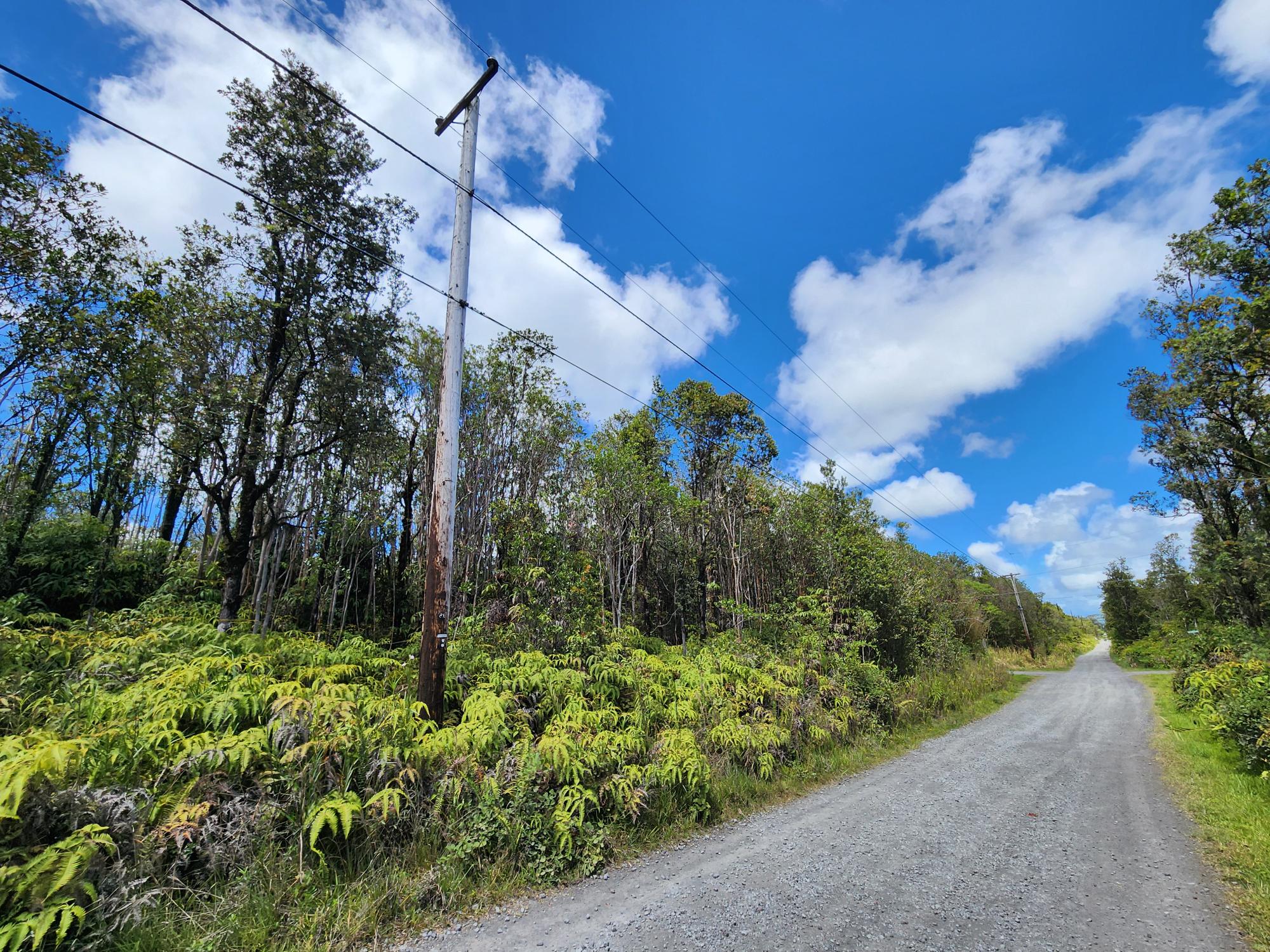 46 Apuakehau Road Mountain View, HI 96771 - Photo 3 of 6 a view of a garden