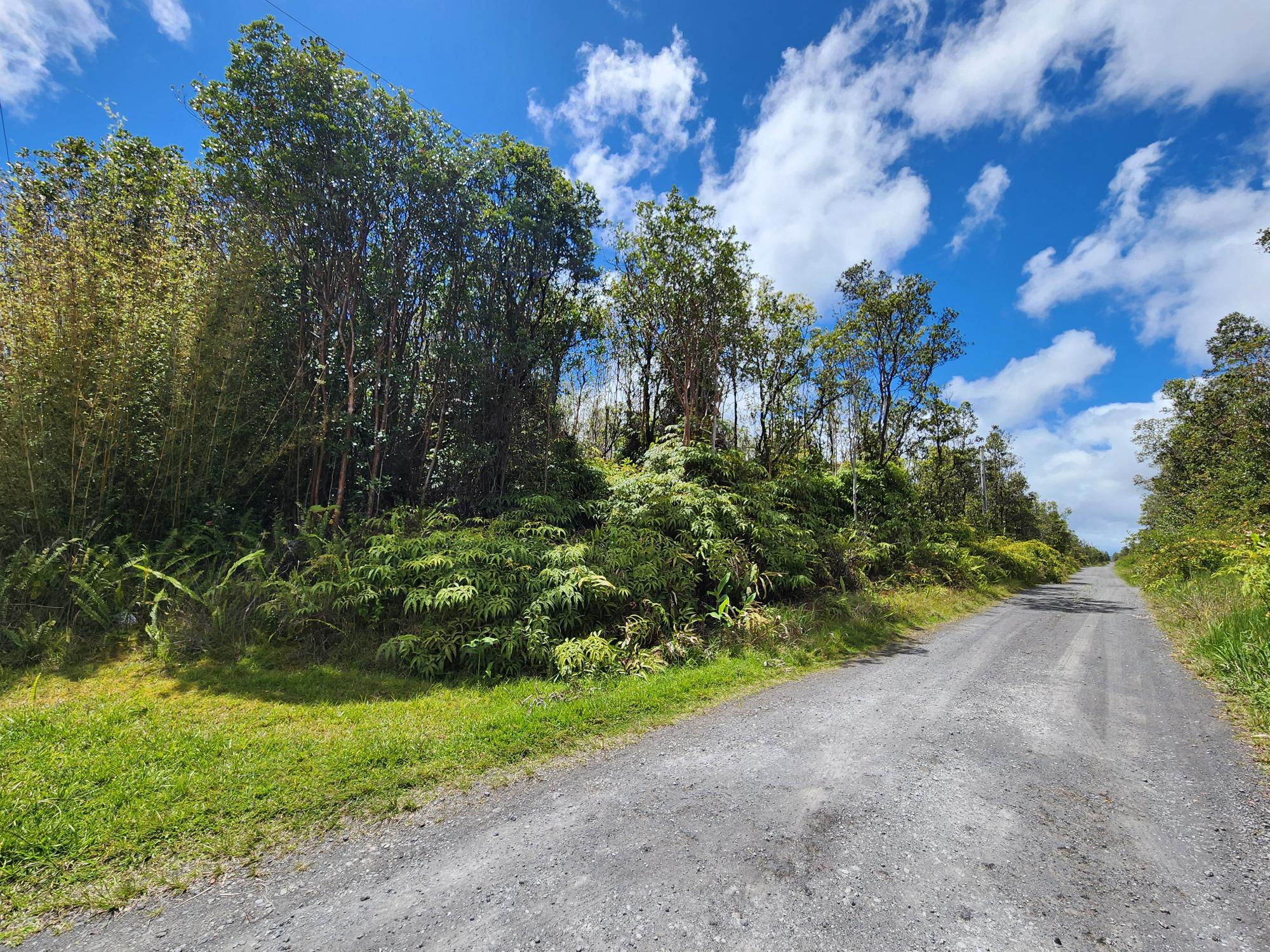 46 Apuakehau Road Mountain View, HI 96771 - Photo 4 of 6 a view of a yard with plants and a trees