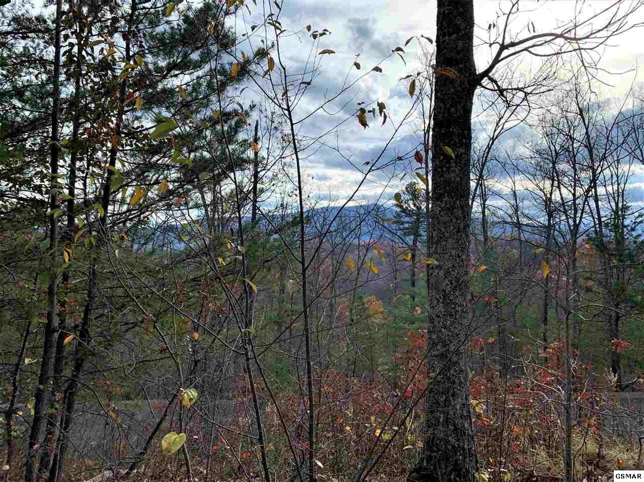 7 Stackstone Road Sevierville, TN 37862 - Photo 1 of 10