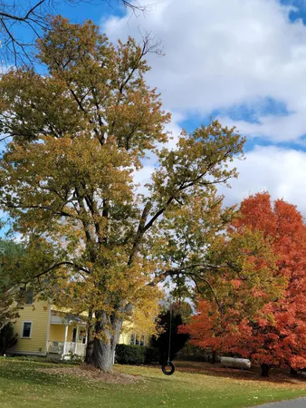 $1,300,000 | 6475 Olive Branch Road, Galien, MI 49113