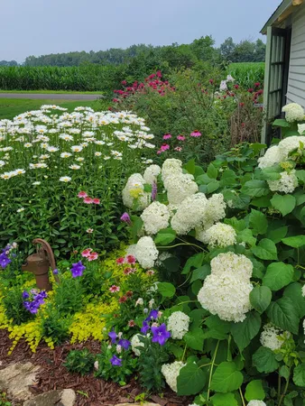 $1,300,000 | 6475 Olive Branch Road, Galien, MI 49113