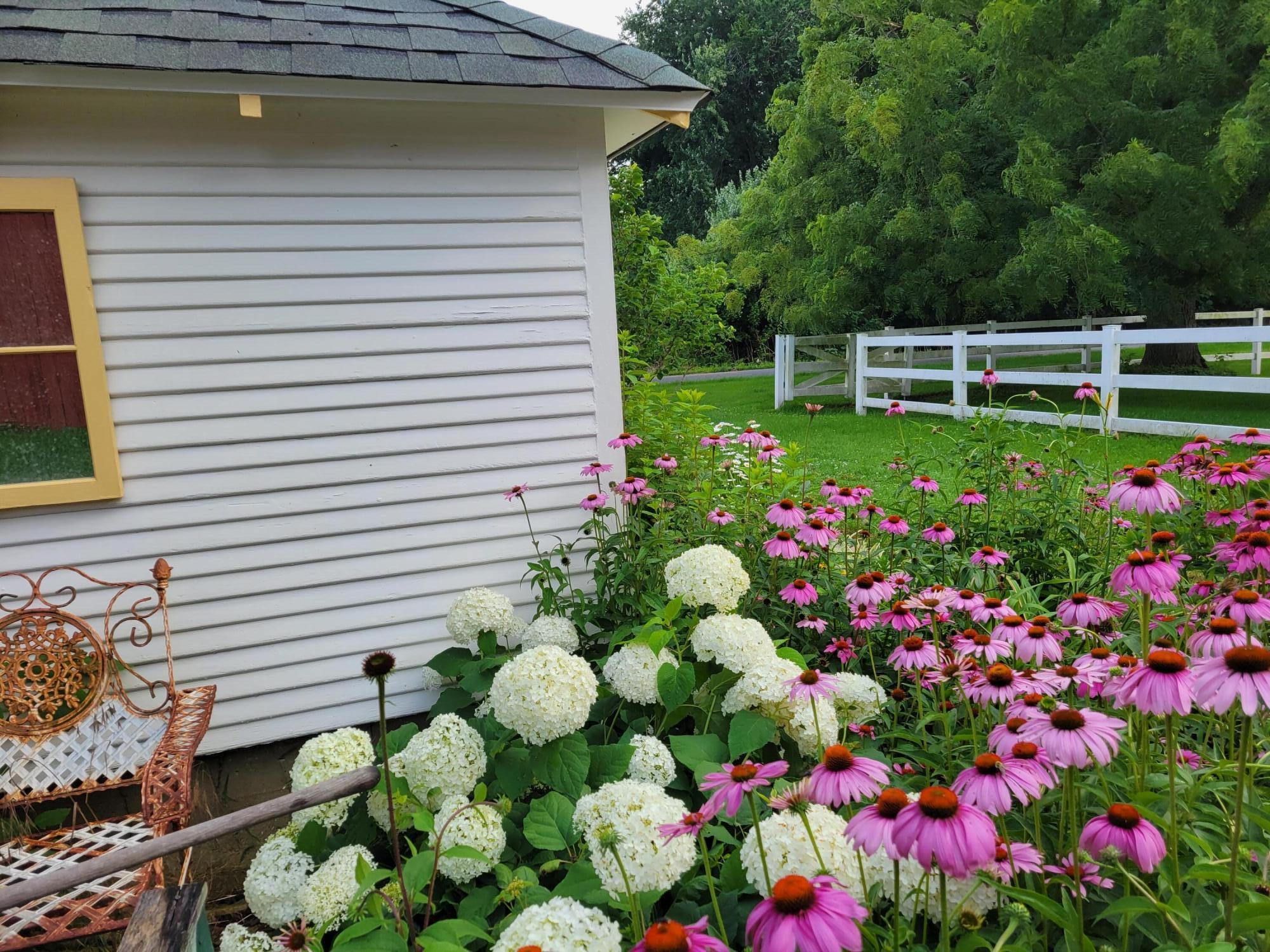 6475 Olive Branch Road Galien, MI 49113 - Photo 55 of 62 20230712_183749