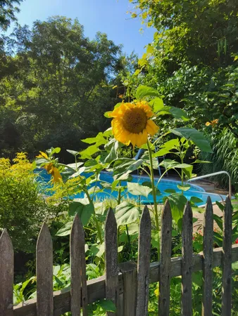 $1,300,000 | 6475 Olive Branch Road, Galien, MI 49113