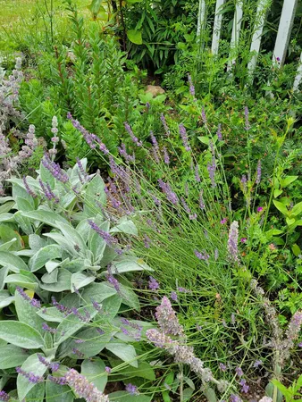 $1,300,000 | 6475 Olive Branch Road, Galien, MI 49113